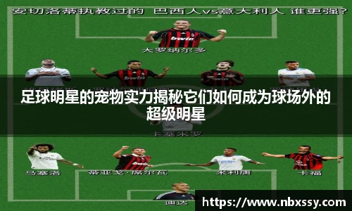 足球明星的宠物实力揭秘它们如何成为球场外的超级明星